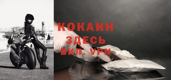 ГАЛЛЮЦИНОГЕННЫЕ ГРИБЫ Белокуриха
