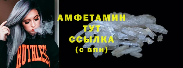 ГАЛЛЮЦИНОГЕННЫЕ ГРИБЫ Белокуриха