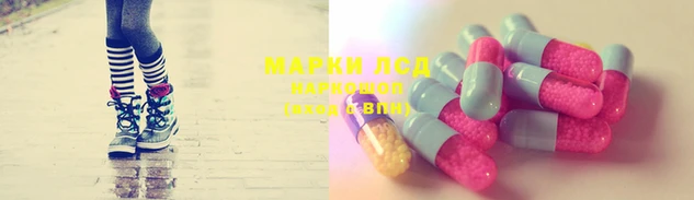 ГАЛЛЮЦИНОГЕННЫЕ ГРИБЫ Белокуриха